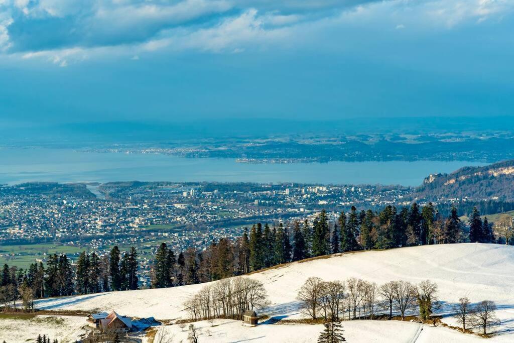 Seeparkvilla - Wohlfuehlen Am See Und Im Gruenen Bregenz Exterior photo